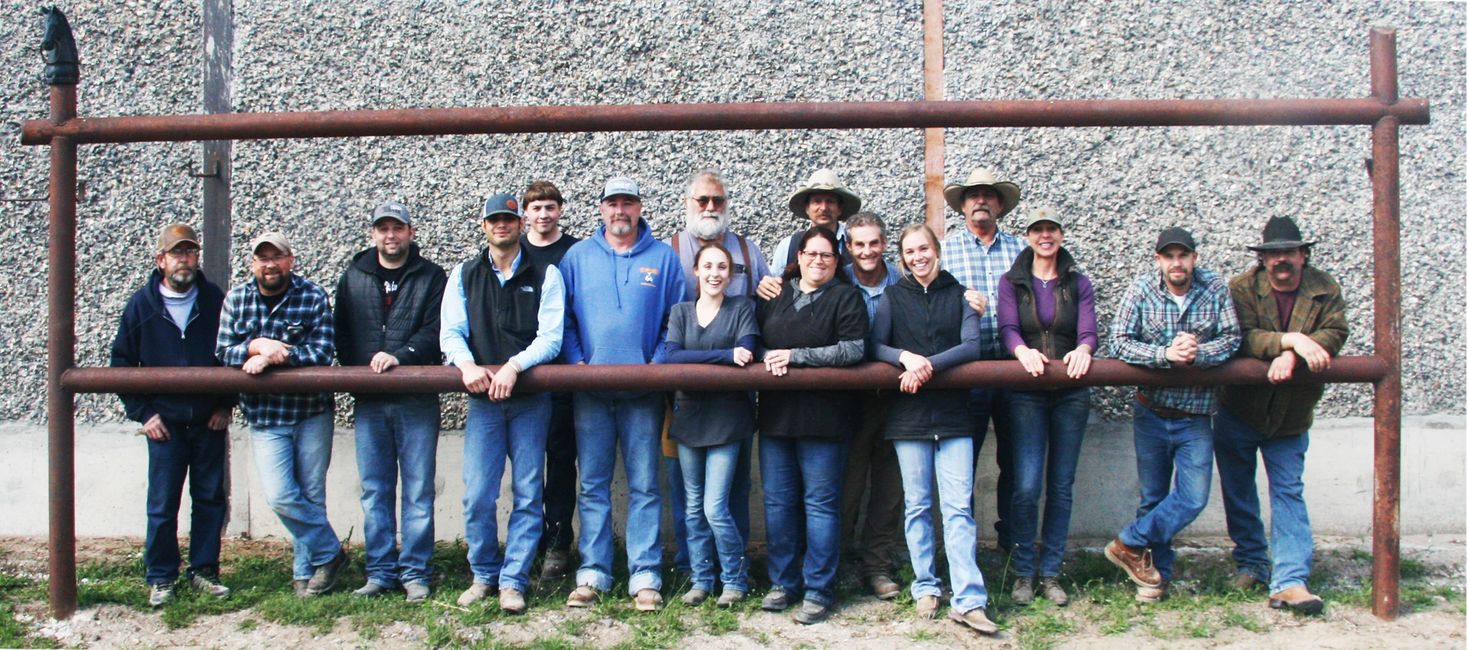 Horse Dentistry Equine Dentistry School, Horse Dentistry School